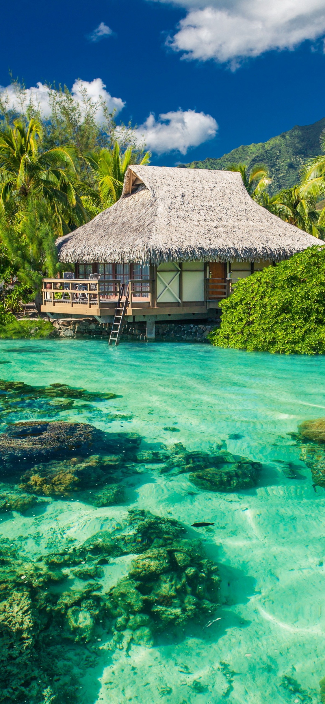 Tropical Seaside Cottages