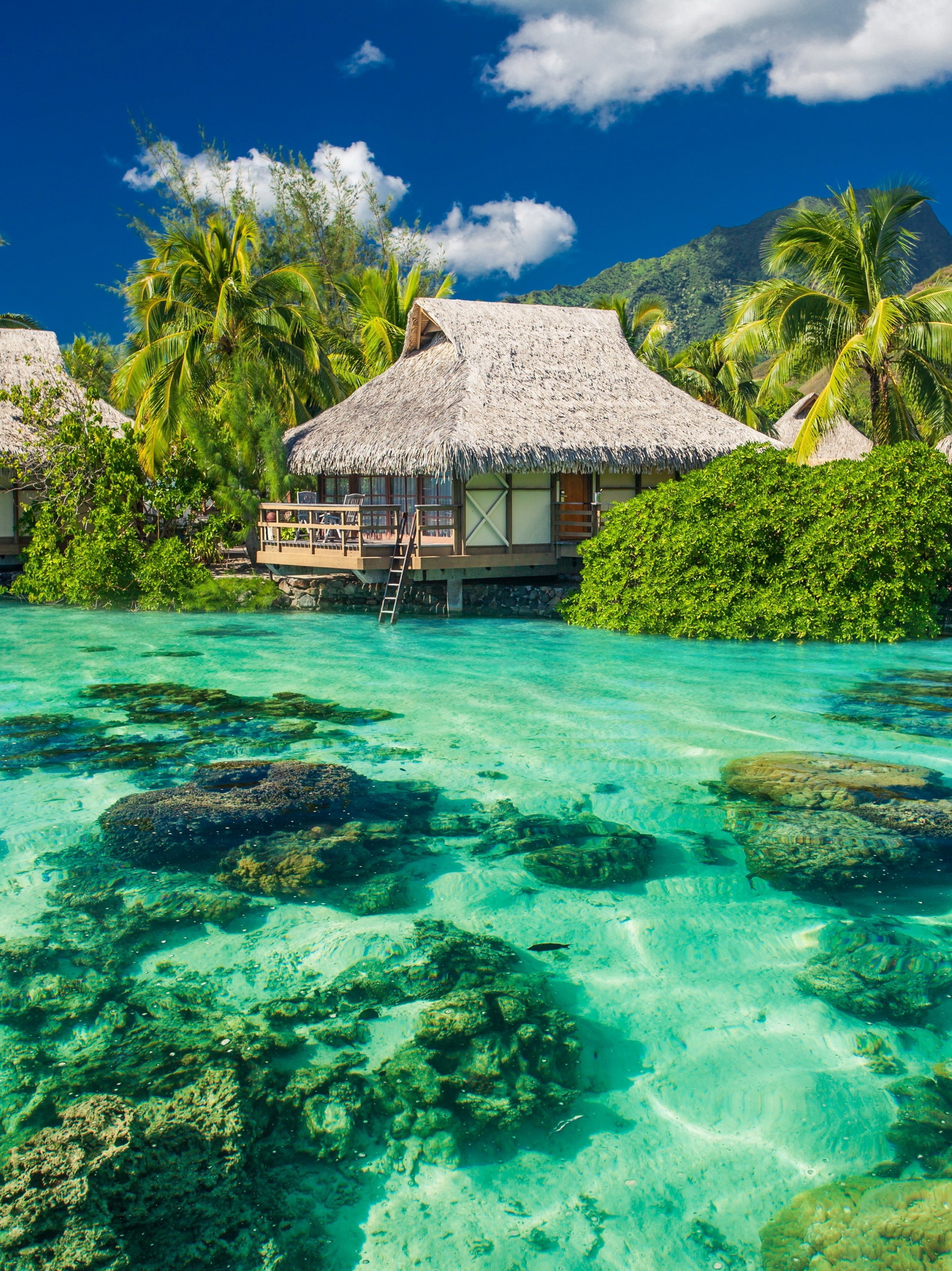 Tropical Seaside Cottages