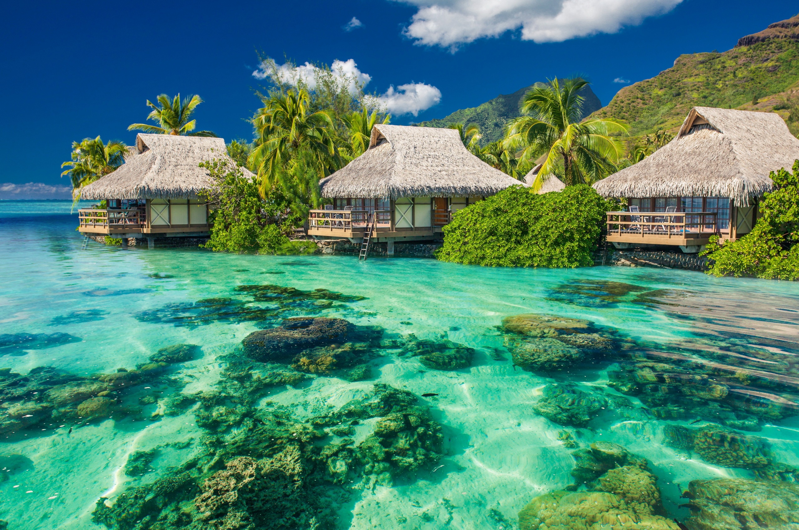 Tropical Seaside Cottages