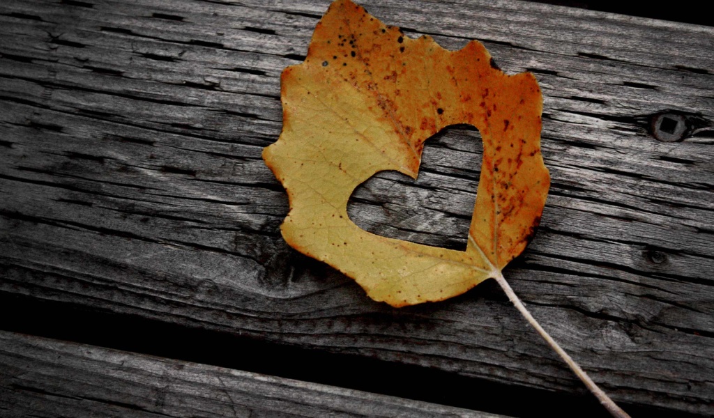 Valentines Day Leaf Heart