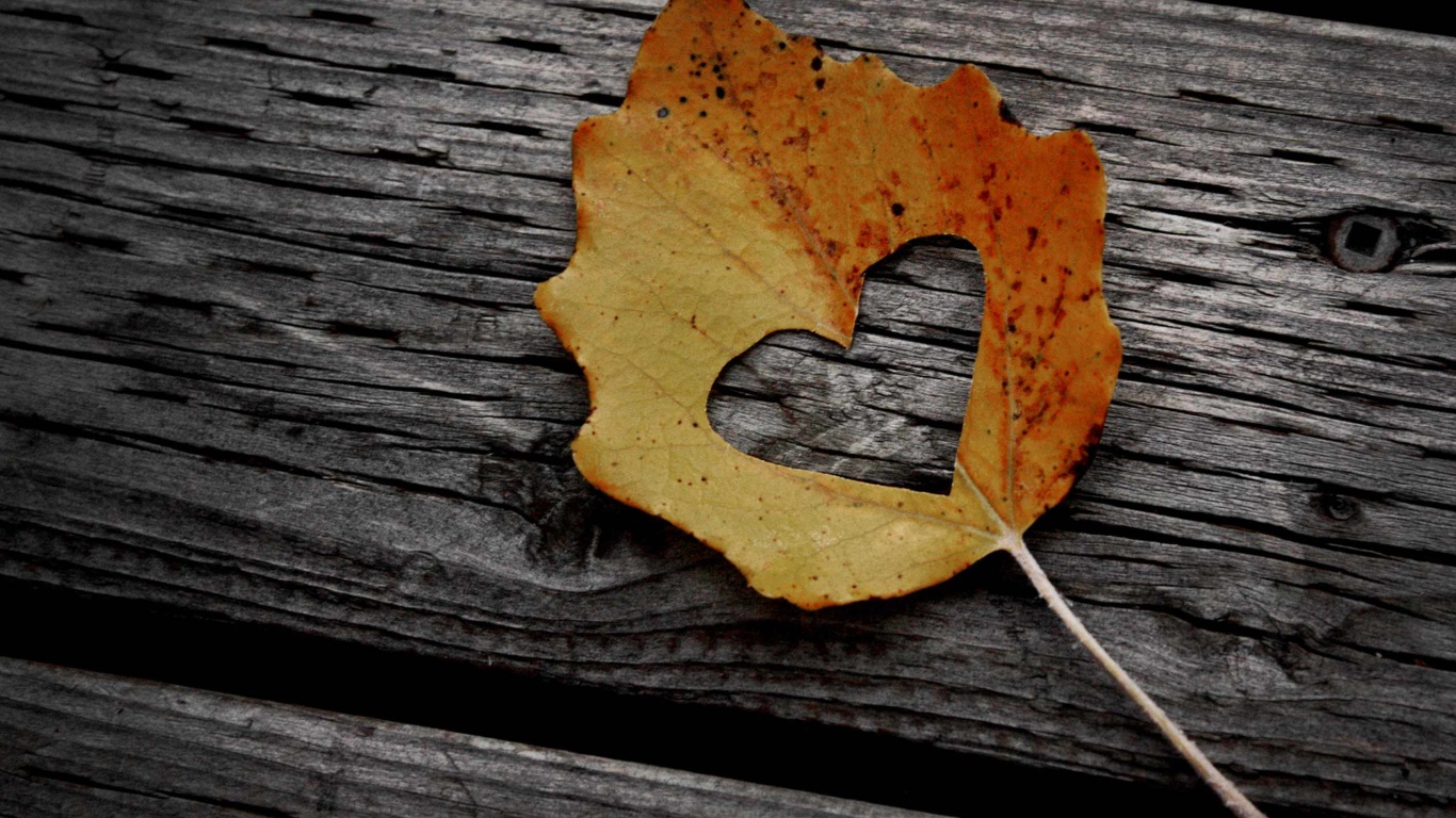 Valentines Day Leaf Heart