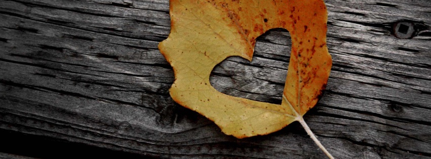 Valentines Day Leaf Heart