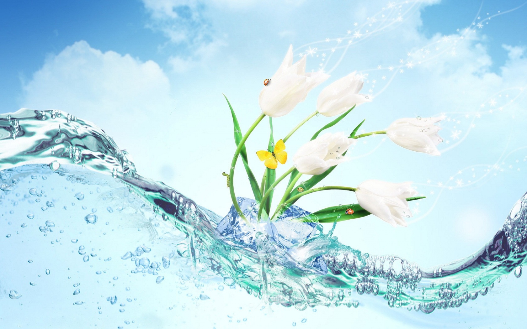 Water Tulip Desktop Wallpaper