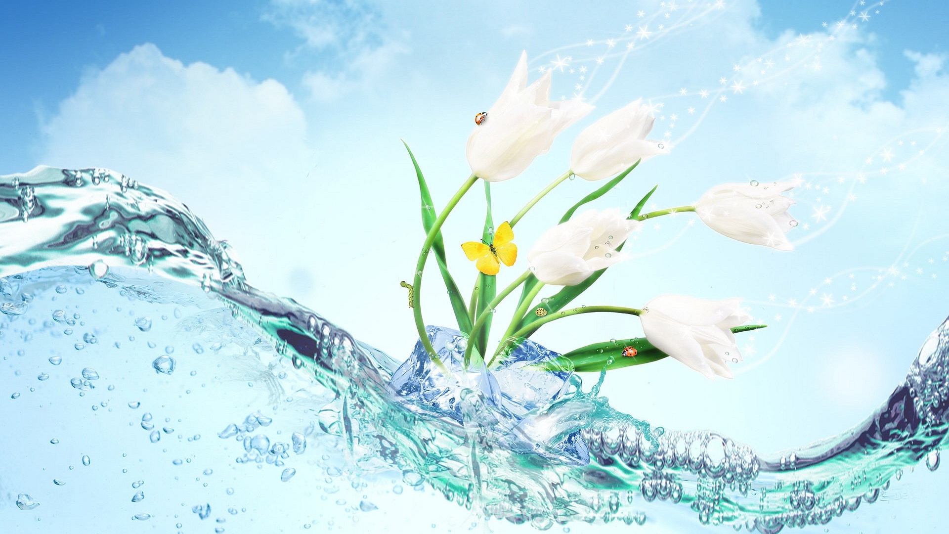 Water Tulip Desktop Wallpaper