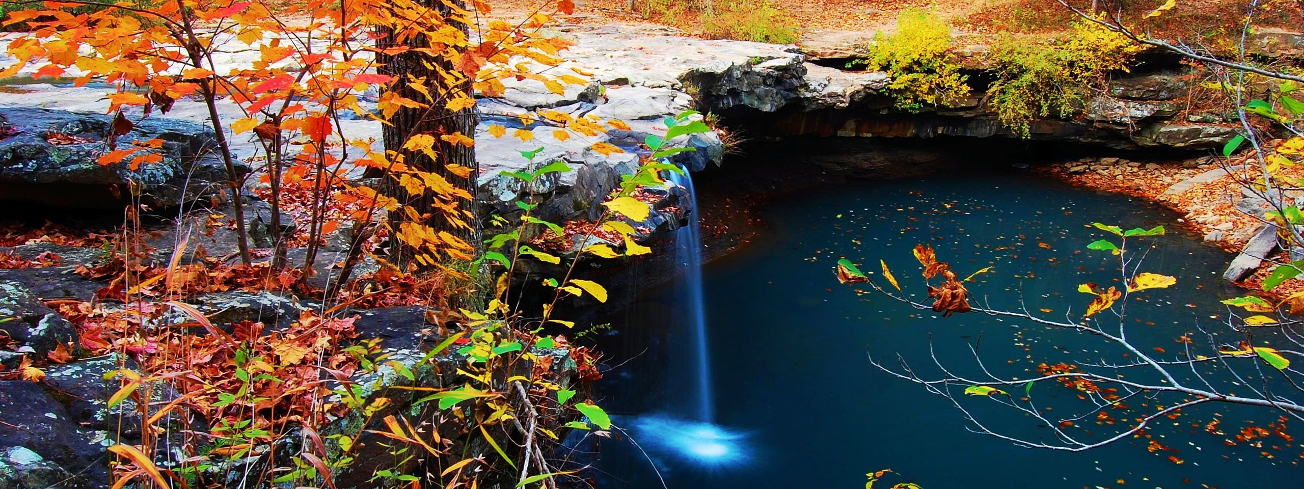 Waterfall Creek Autumn Leaves