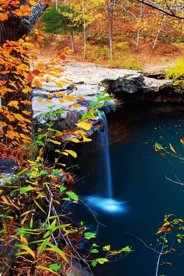 Waterfall Creek Autumn Leaves