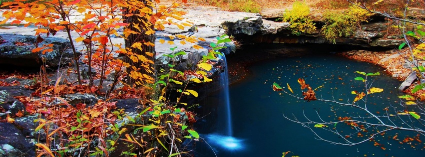 Waterfall Creek Autumn Leaves