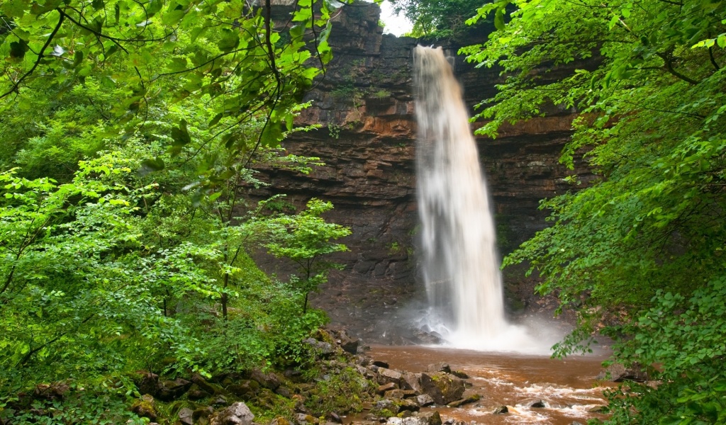 Waterfall Green Leaves Scenic Nature