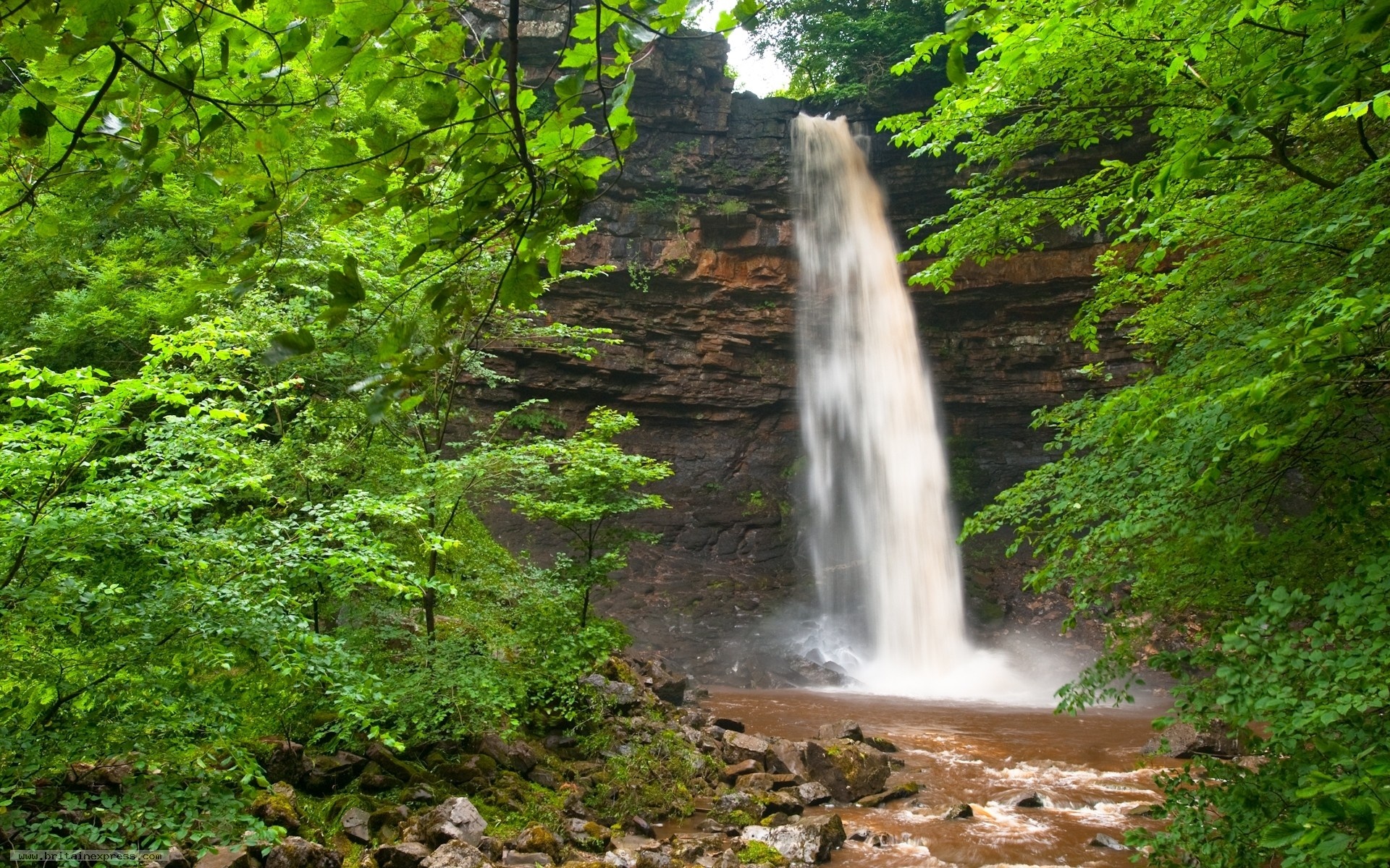 Waterfall Green Leaves Scenic Nature