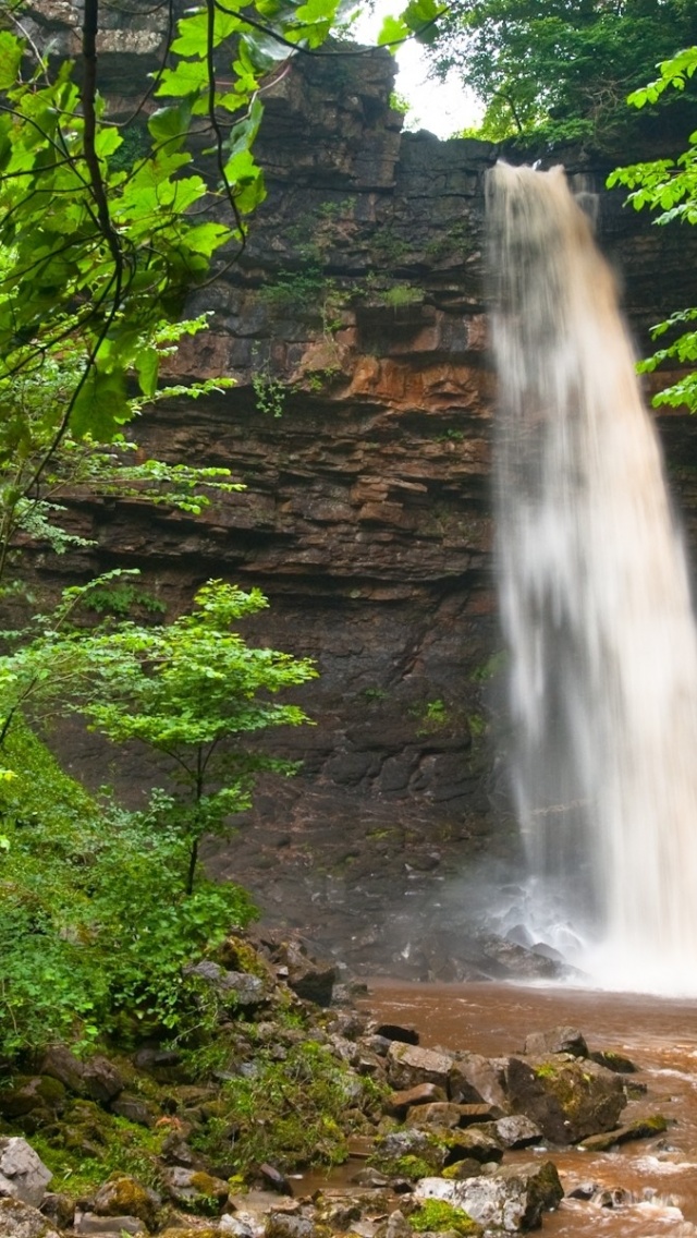 Waterfall Green Leaves Scenic Nature