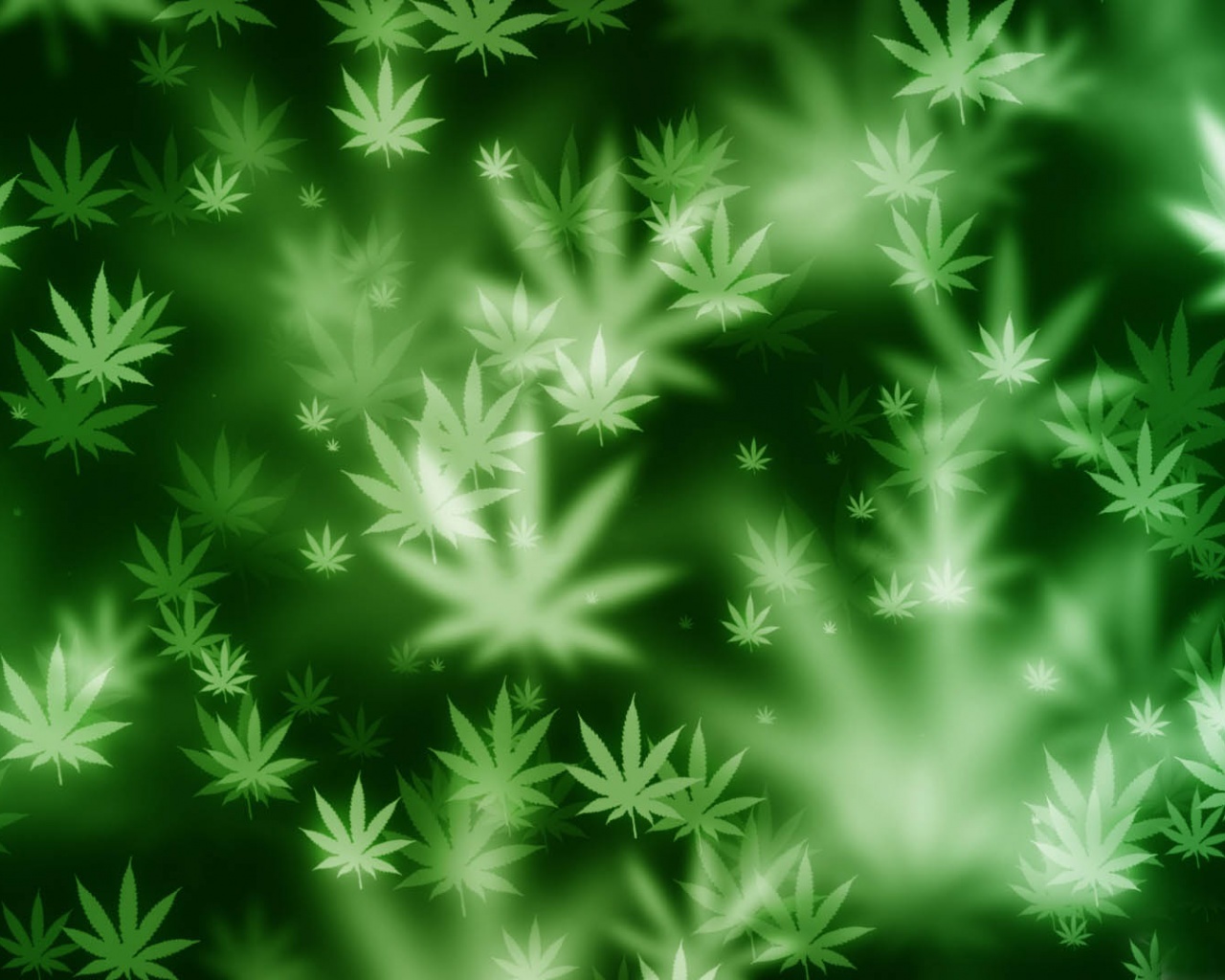 Weed Bokeh