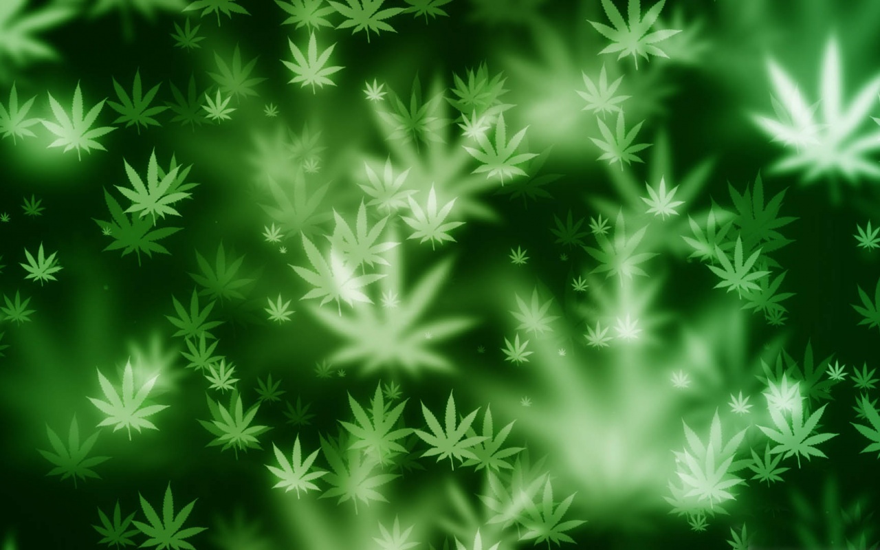 Weed Bokeh