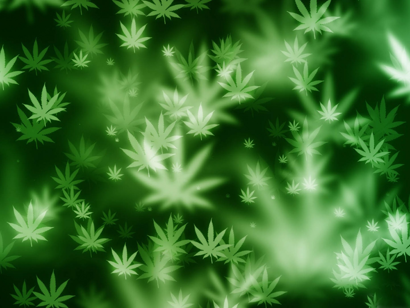 Weed Bokeh