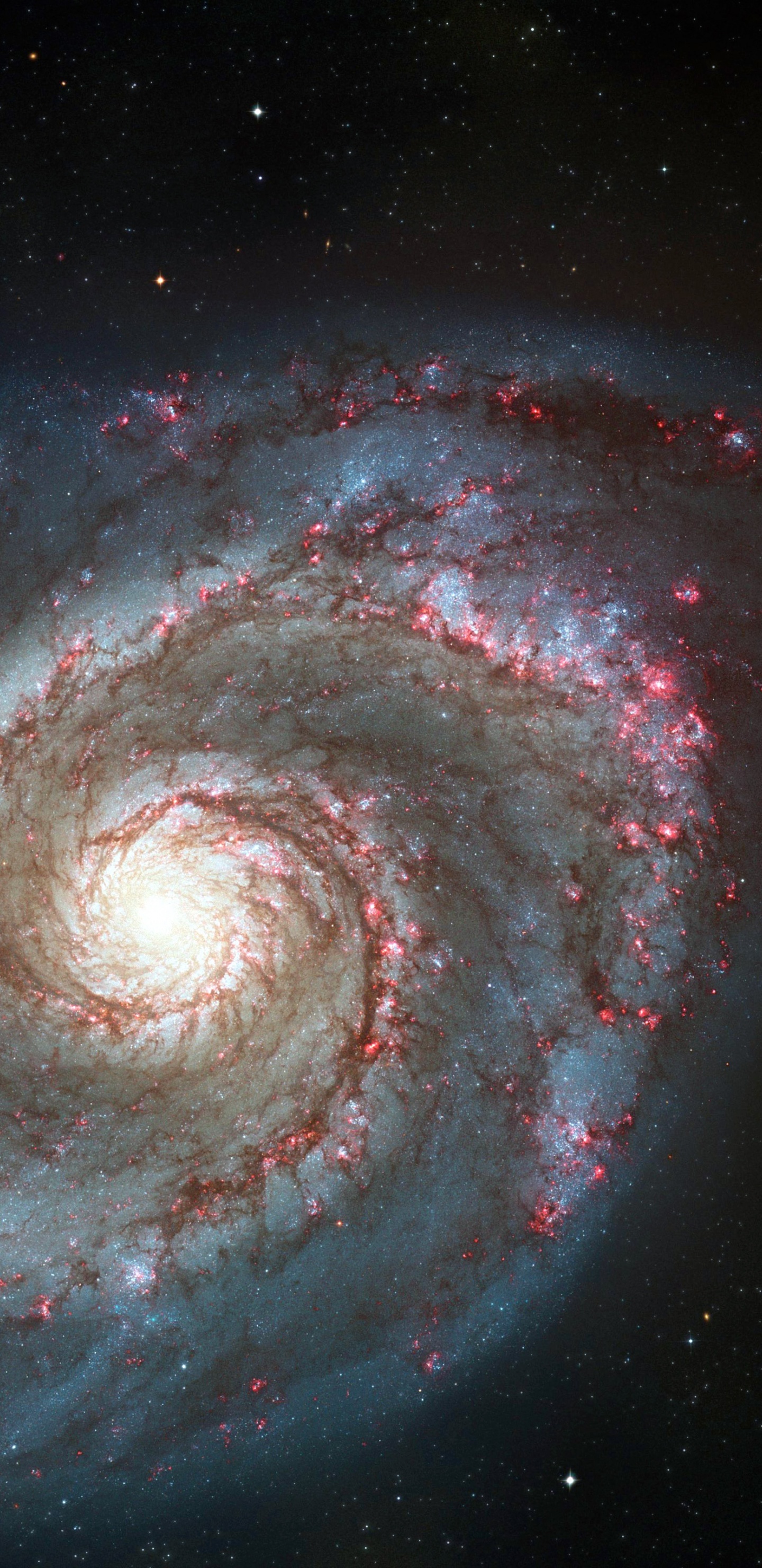 Whirlpool Galaxy