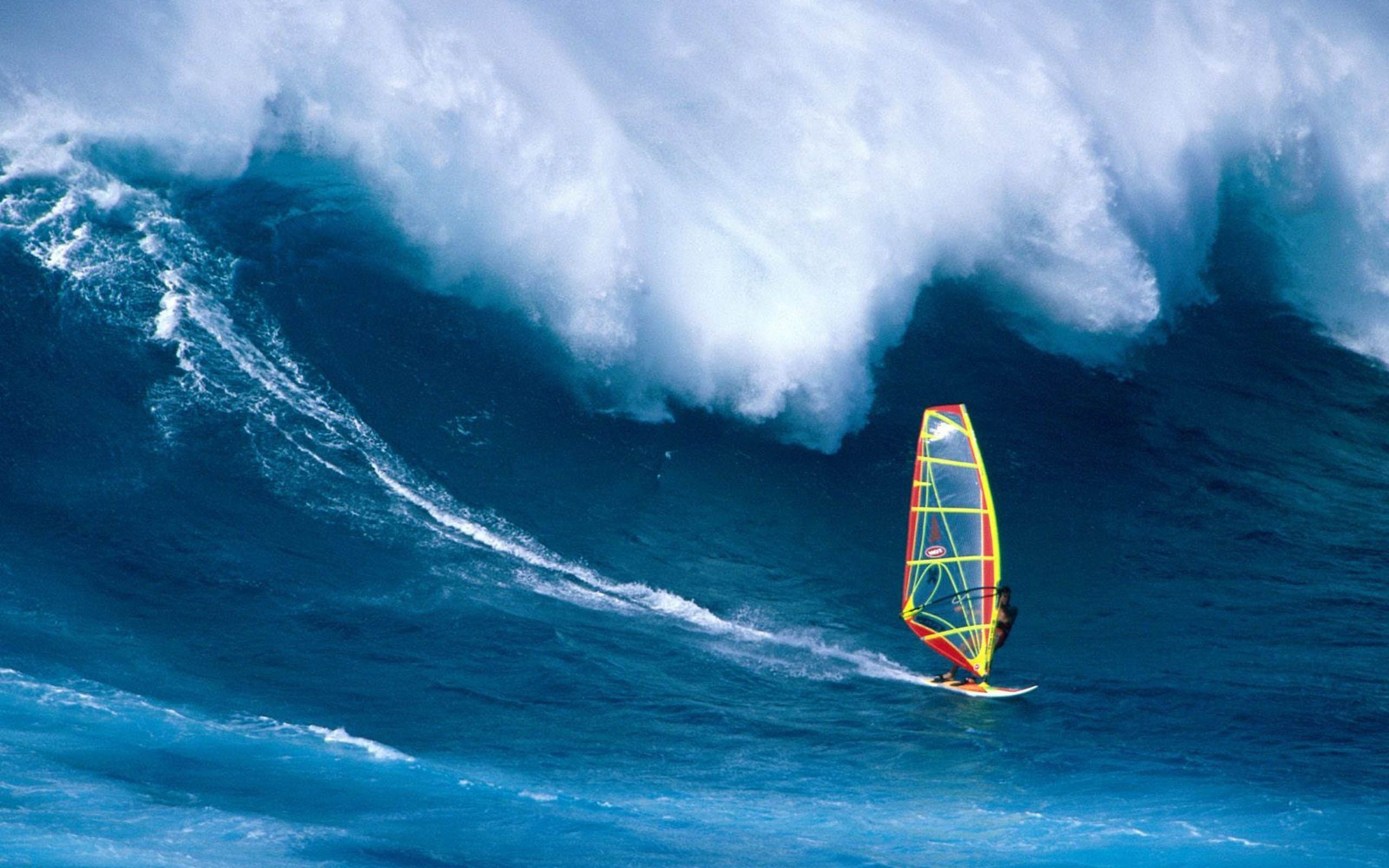 Wind Surfing Surfer