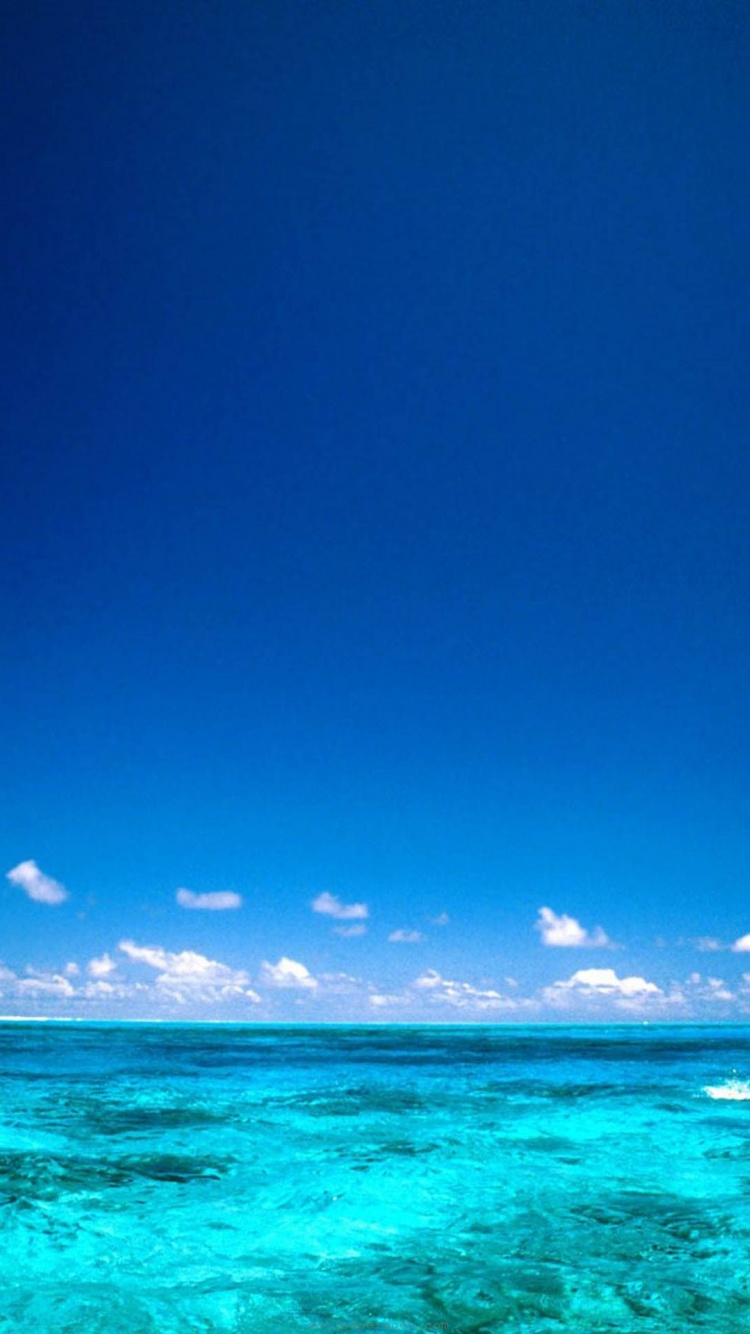 Wind Surfing Surfer Bora Bora Island