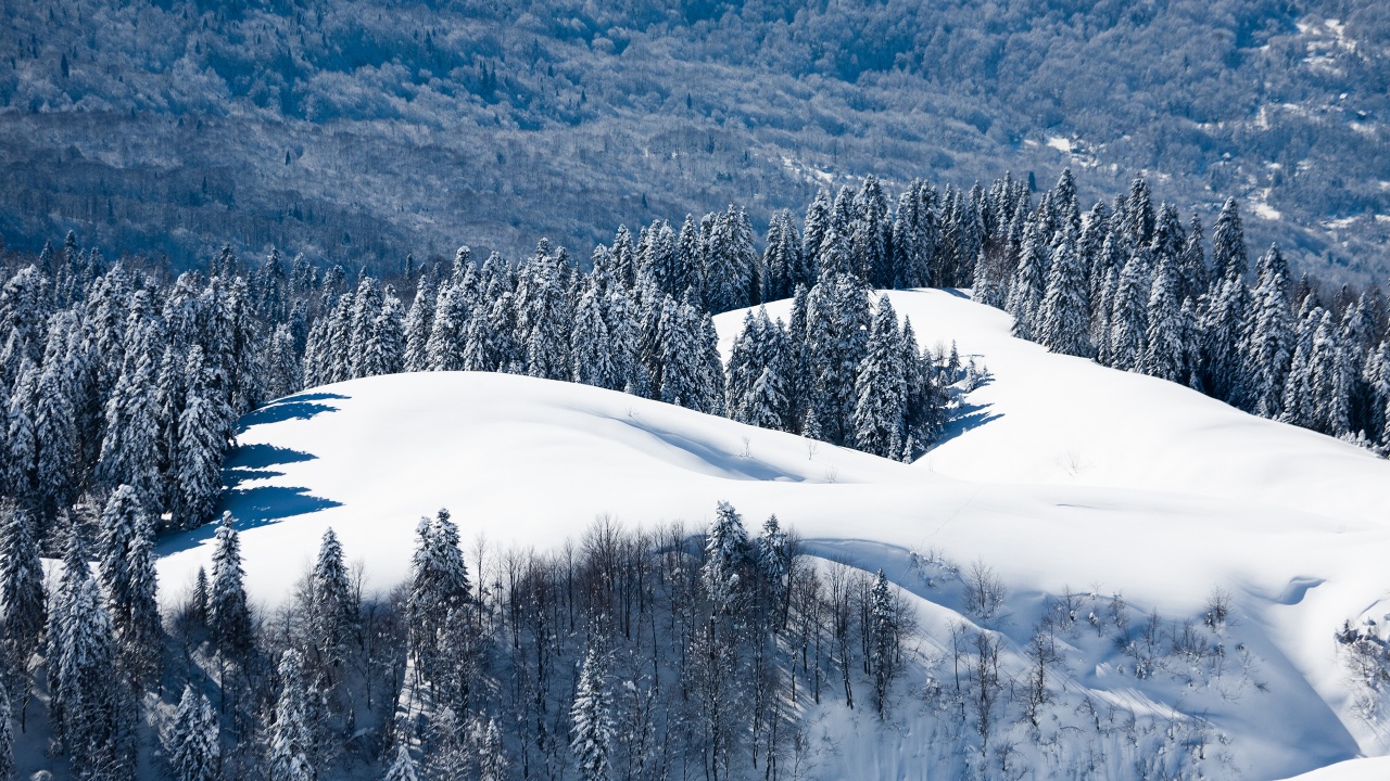 Winter Landscape