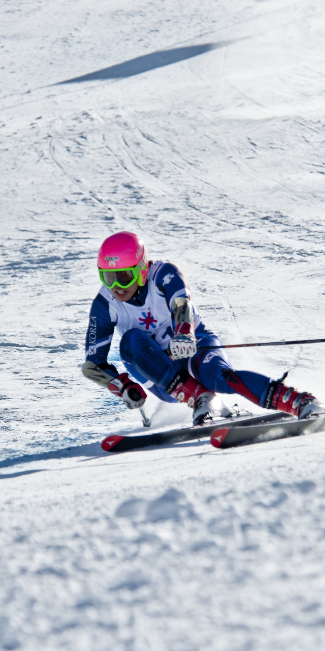 Winter Mountains Skiing