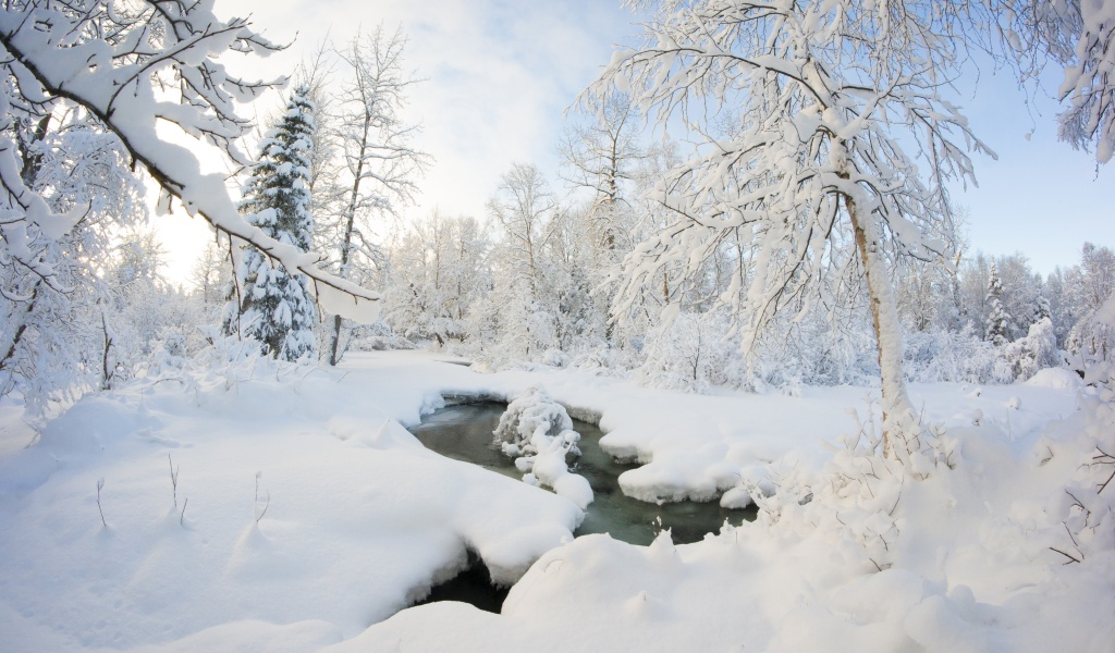 Winter Snow Ice Stream Nature