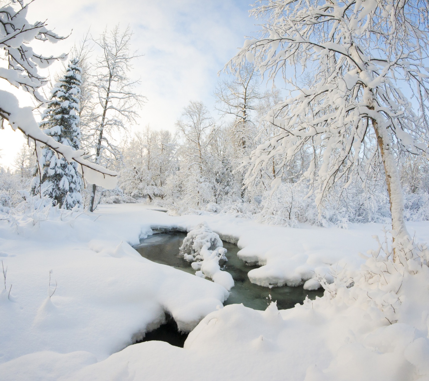 Winter Snow Ice Stream Nature