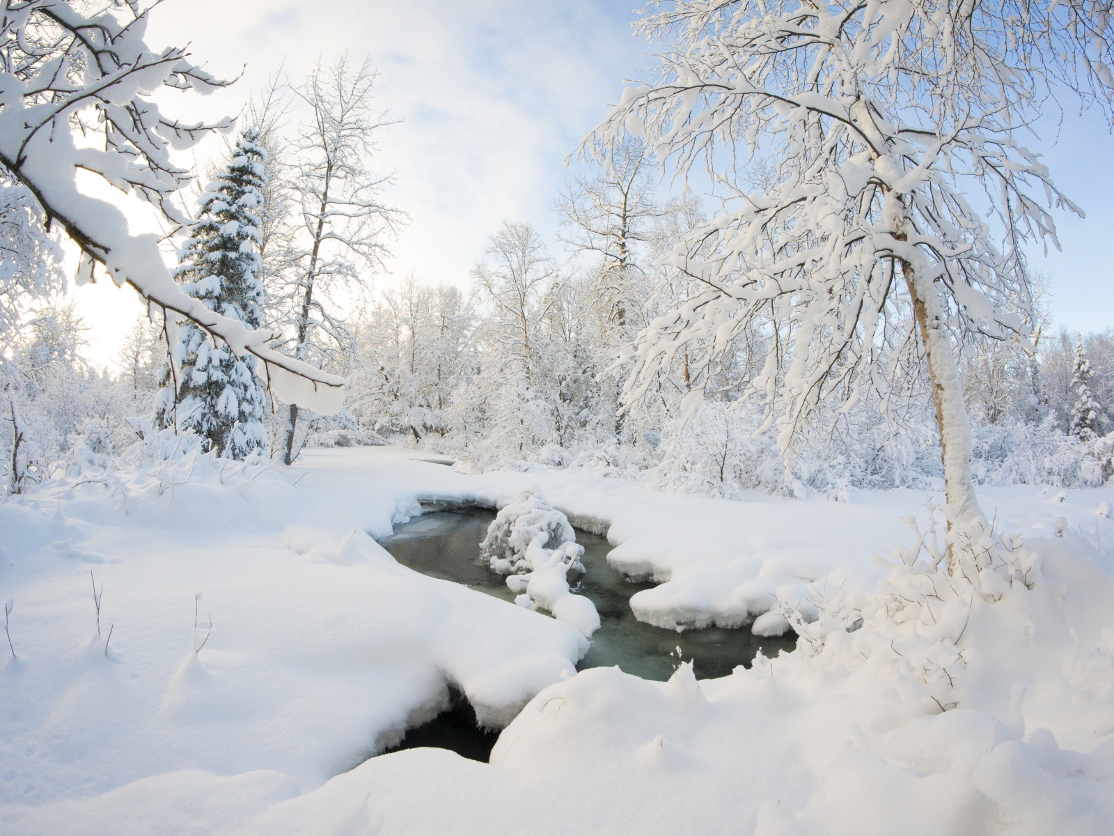 Winter Snow Ice Stream Nature