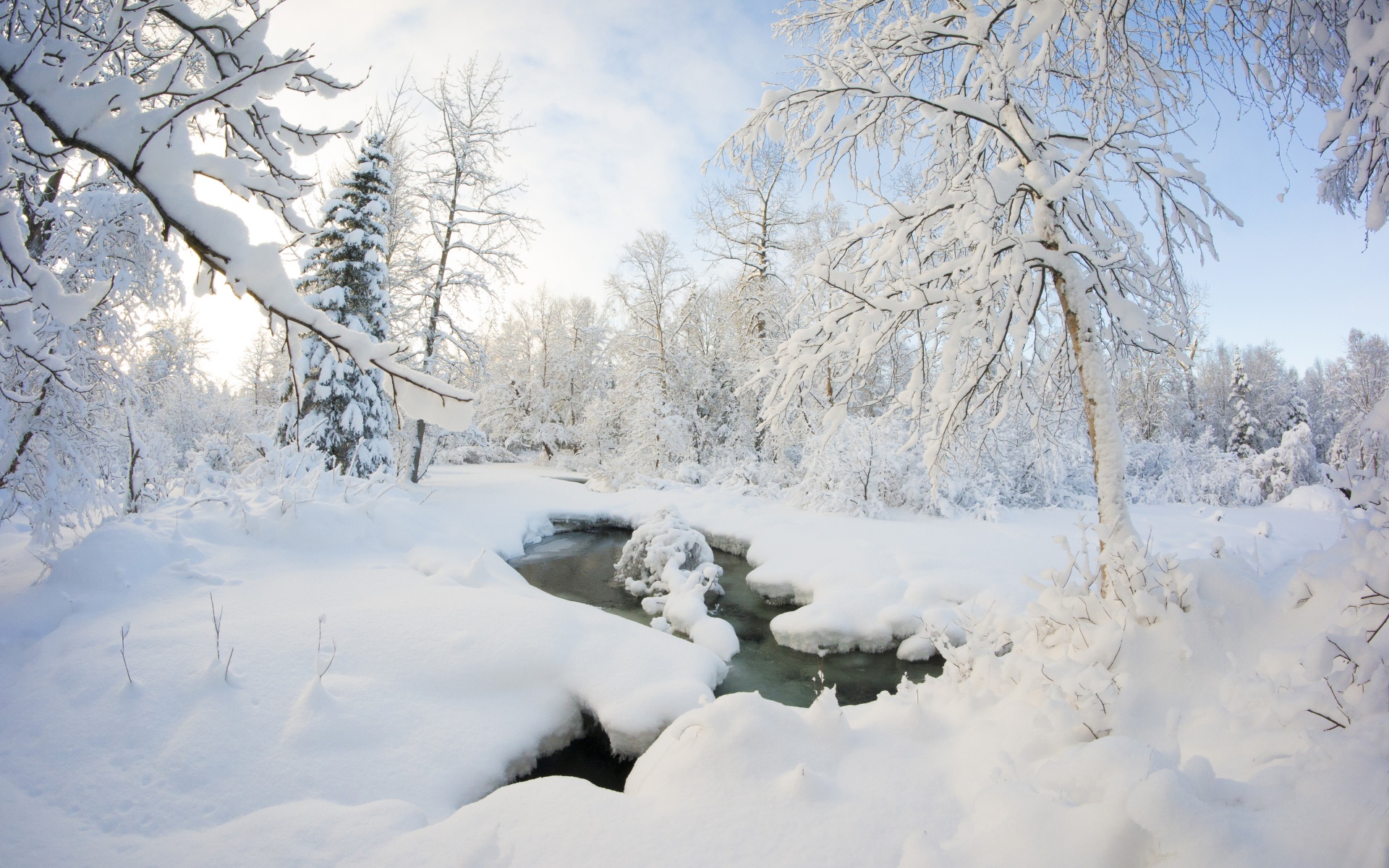 Winter Snow Ice Stream Nature