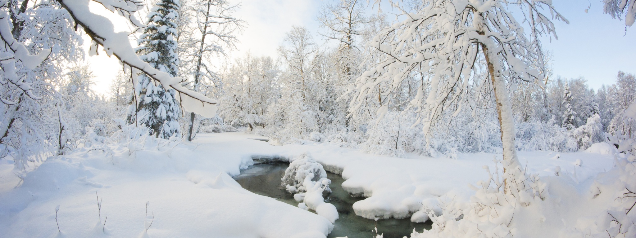 Winter Snow Ice Stream Nature