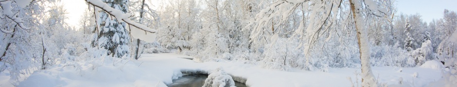 Winter Snow Ice Stream Nature