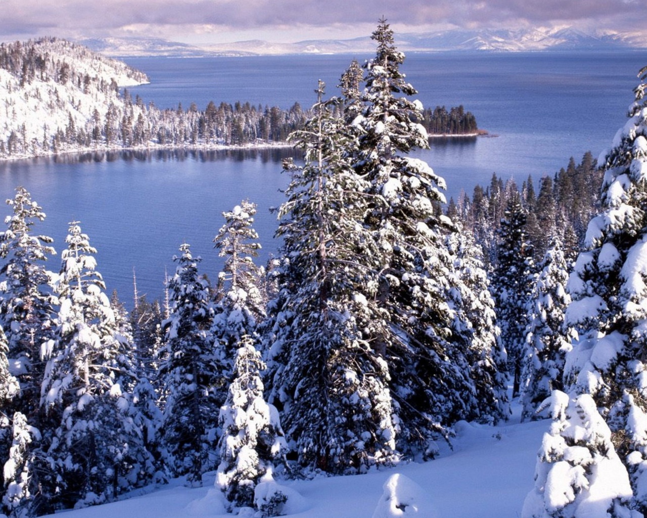 Winter White Forest And Cold Water