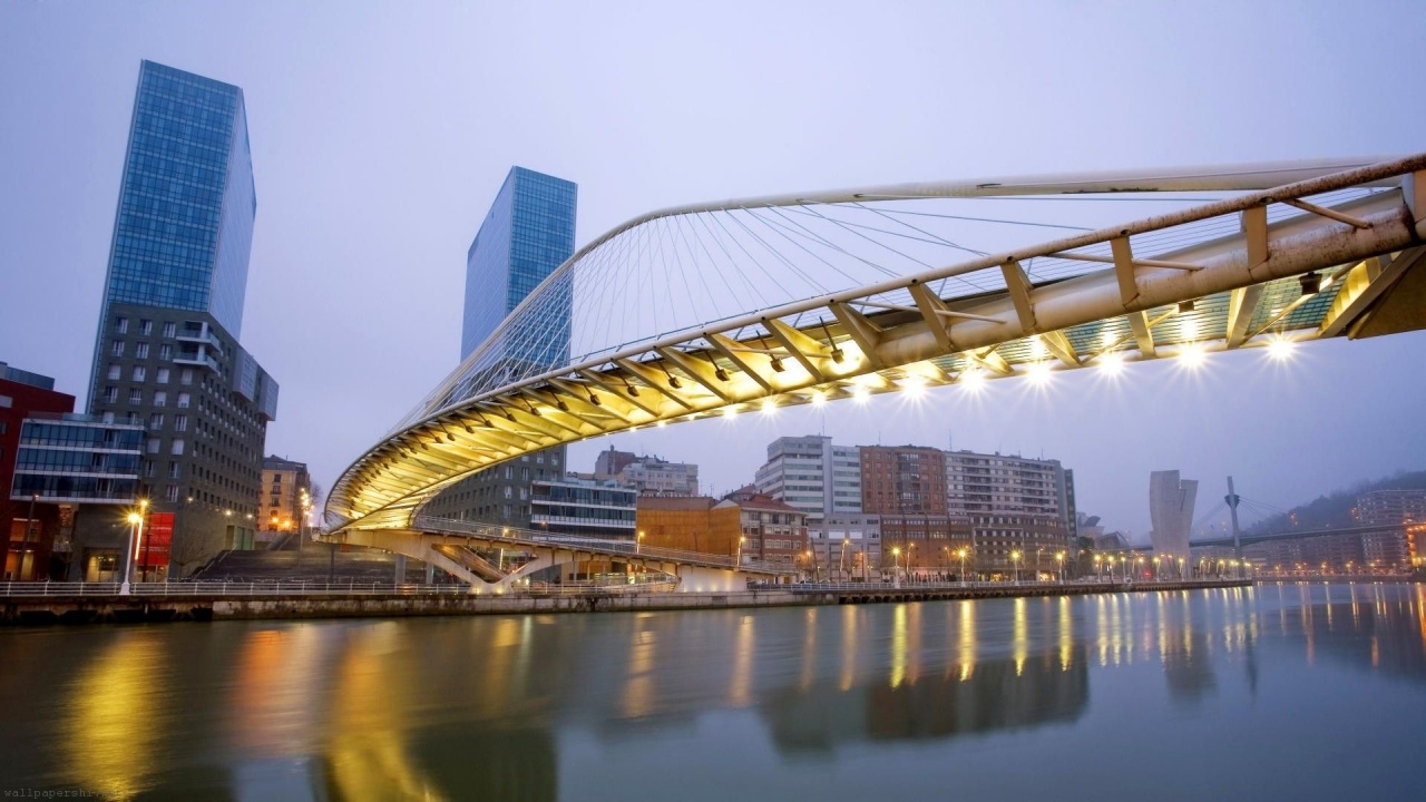 Wonderful Architecture Bilbao Bridge