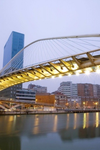 Wonderful Architecture Bilbao Bridge