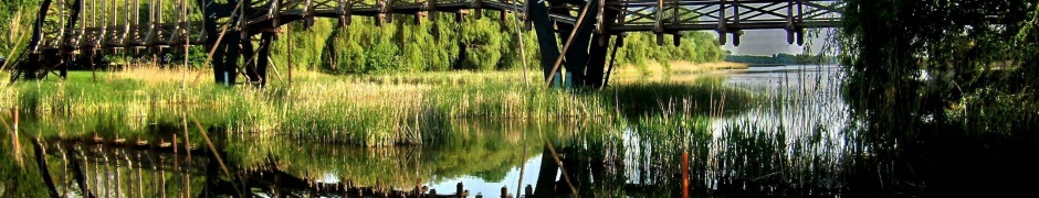 Wooden Bridge Balaton Zala County Hungary