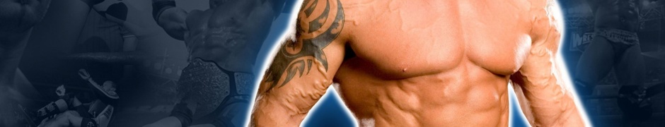 Wwe Superstar Batista