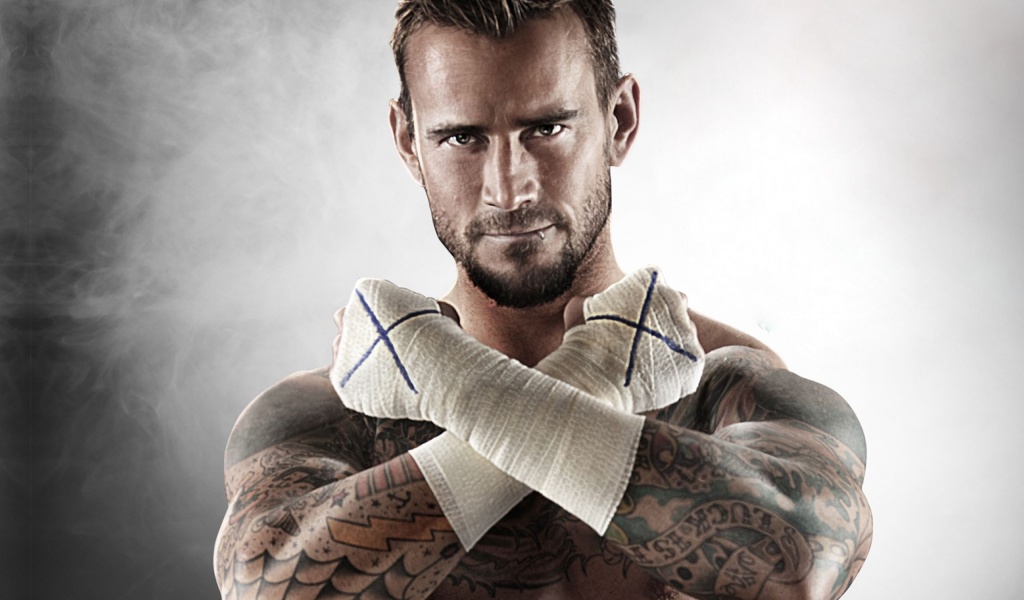 Wwe Superstar Cm Punk