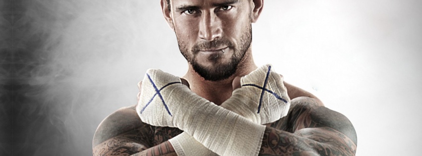 Wwe Superstar Cm Punk