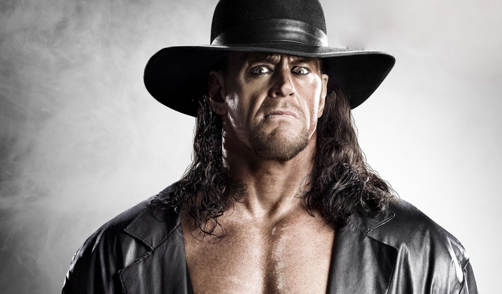 Wwe Superstars Career Wrestling King Undertaker Rip