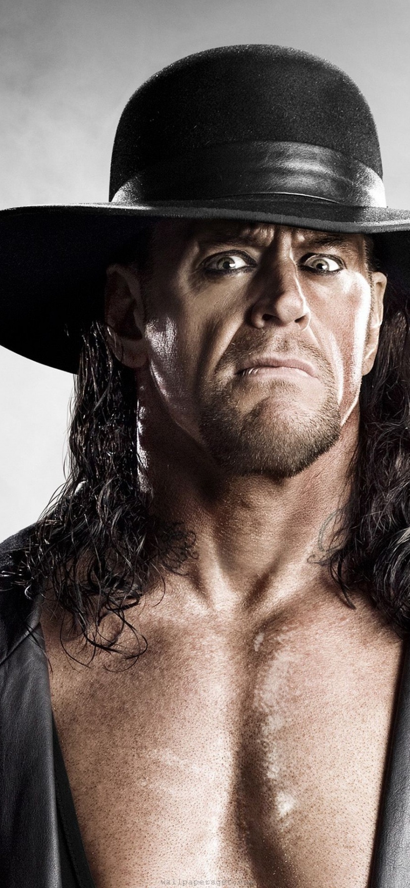 Wwe Superstars Career Wrestling King Undertaker Rip