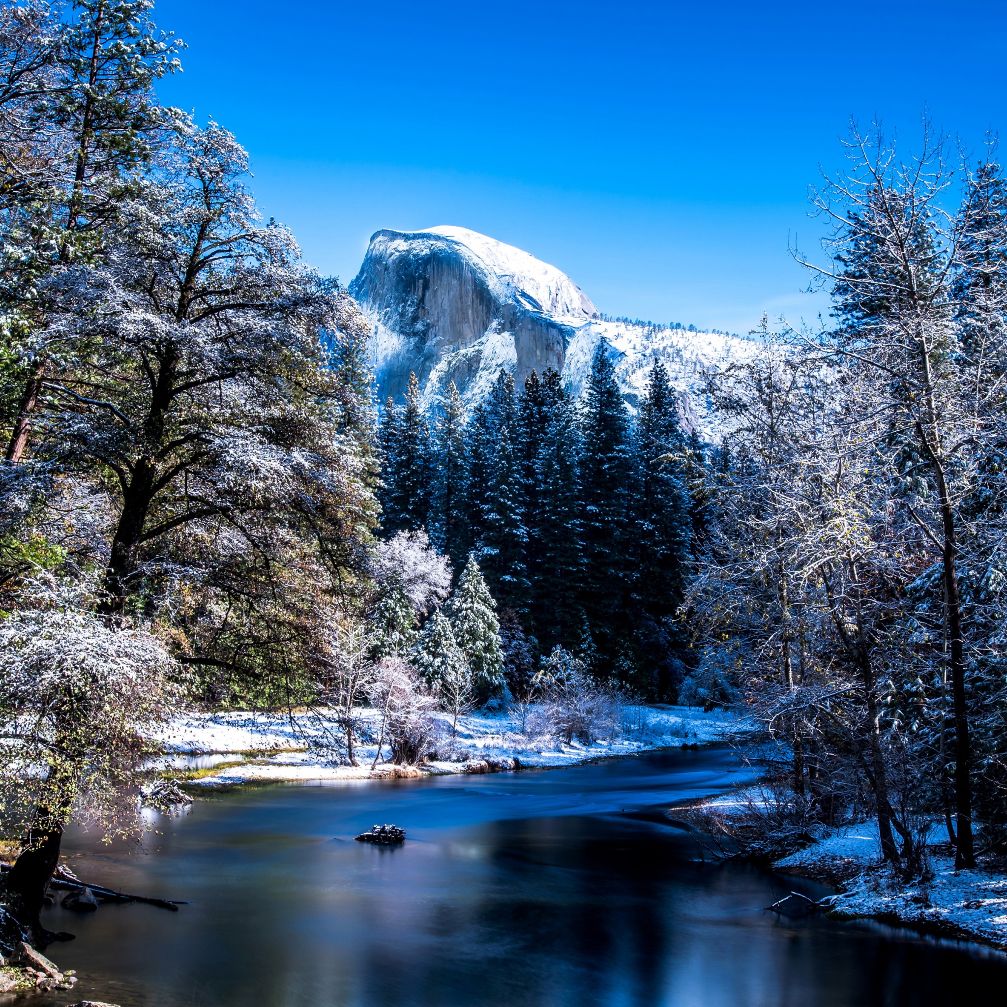 Yosemite National Park In Winter