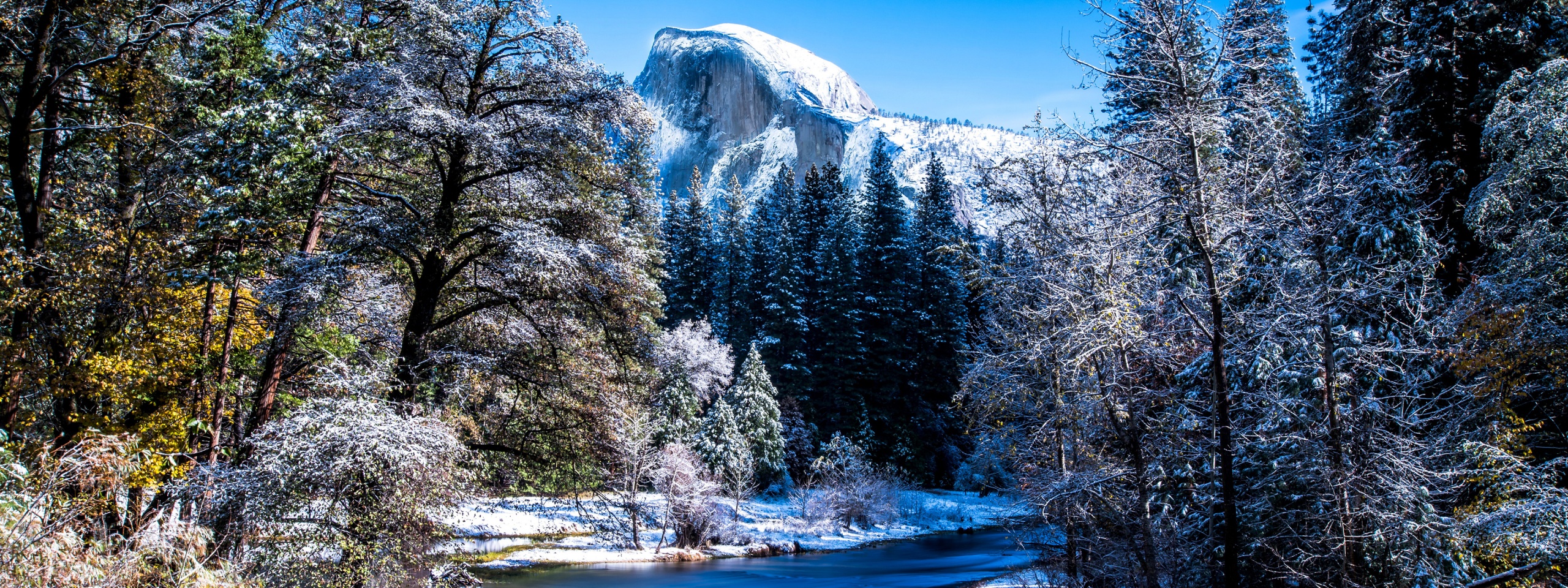 Yosemite National Park In Winter