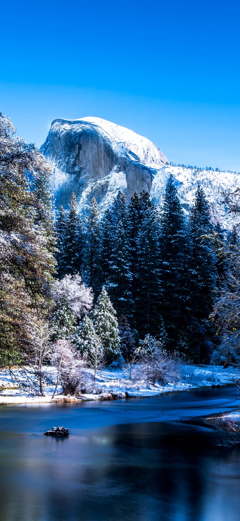 Yosemite National Park In Winter